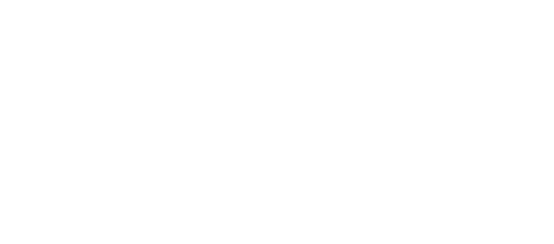 Ludwig Schlechter